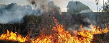  На Одещині 86-річний чоловік намагався самотужки загасити пожежу та отримав сильні опіки